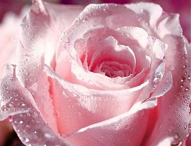 imagenes-amor-2-peq imagenes-amor-2-peq