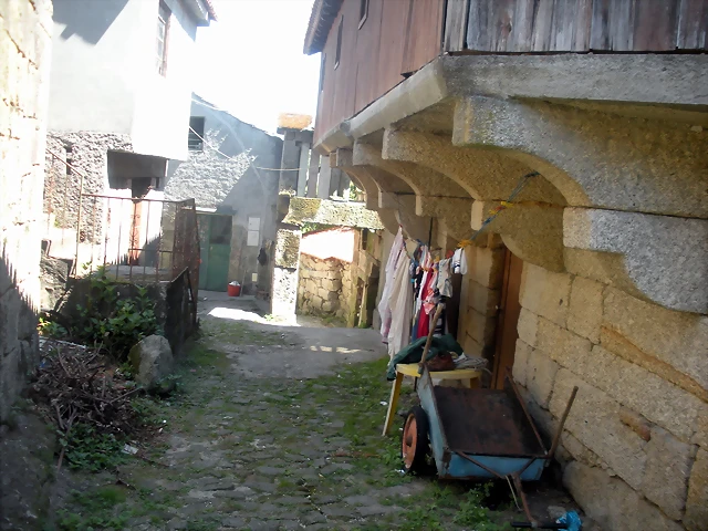 DSCN7821