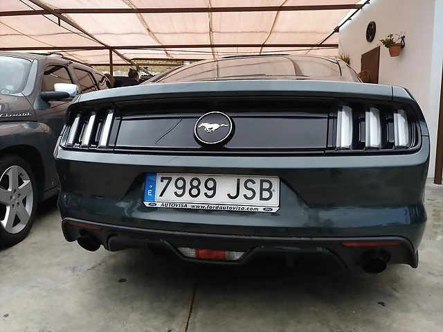Mustang 2