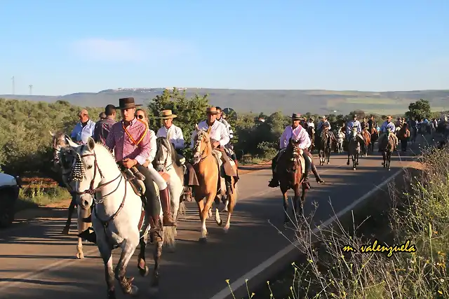 14, caballos por la carretera, marca 2