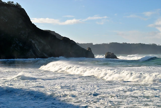 DSC_0588 DSC_0588