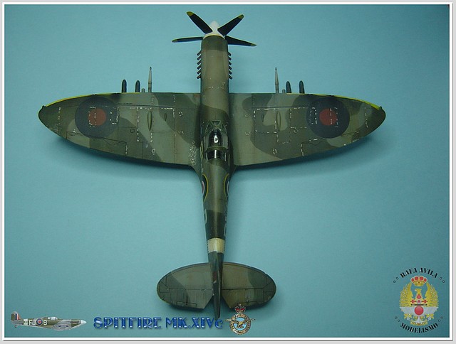 spitfire 2011-09-25 fin (5) spitfire 2011-09-25 fin (5)