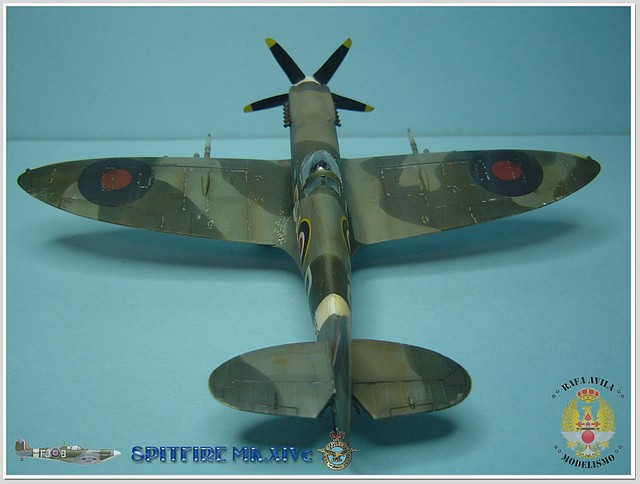 spitfire 2011-09-25 fin (6) spitfire 2011-09-25 fin (6)