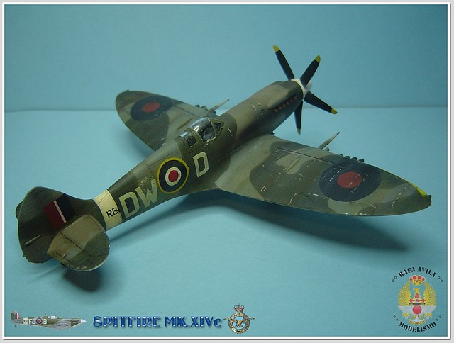 spitfire 2011-09-25 fin (3) spitfire 2011-09-25 fin (3)