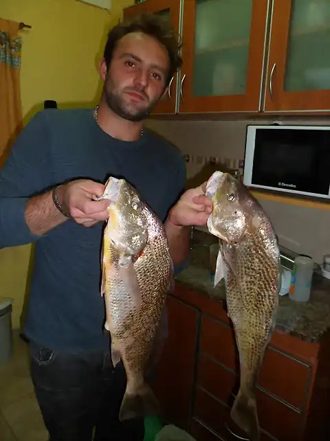 CORVINA DE BARRANCA DEL NORTE