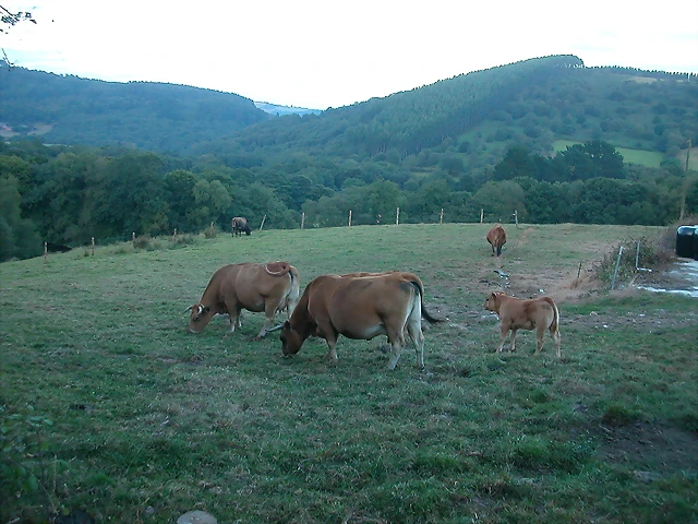DSCN1931 DSCN1931