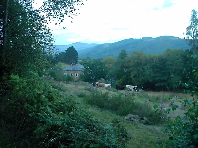 DSCN1929 DSCN1929