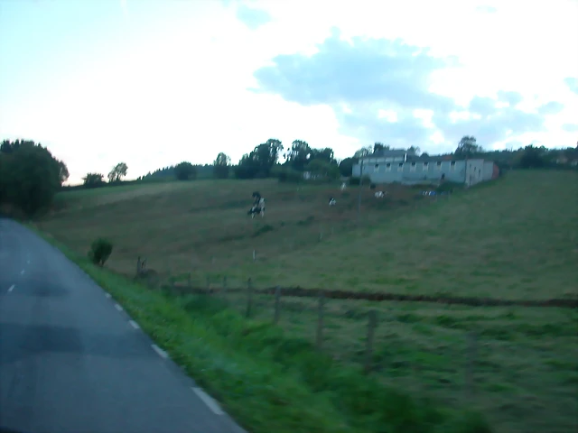 DSCN1934 DSCN1934