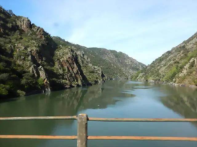 DSCN1984 DSCN1984