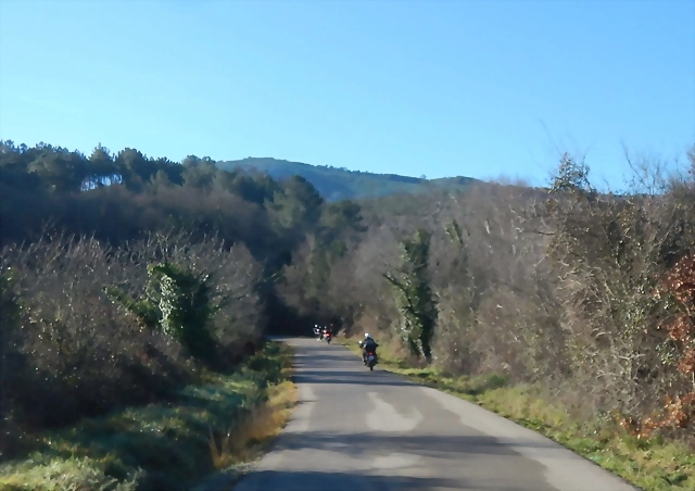 DSCN1528 DSCN1528