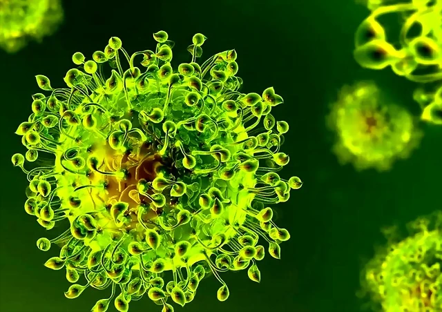 ASI ES EL VIRUS CORONAVIRUS 19 ASI ES EL VIRUS CORONAVIRUS 19