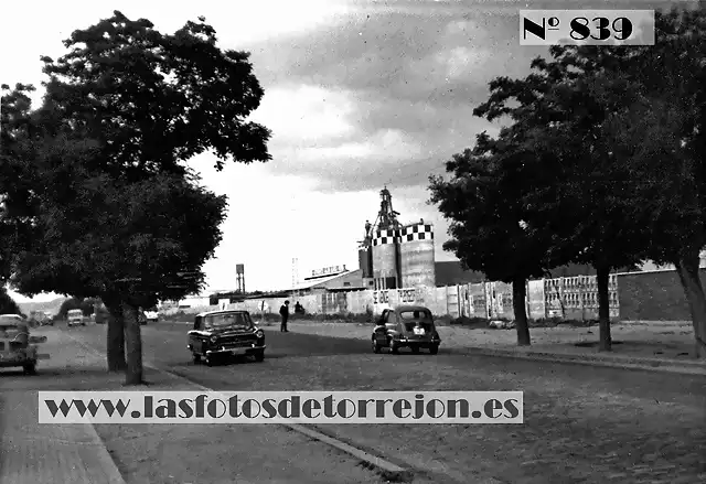 Torrejon de A. Gallina Blanca