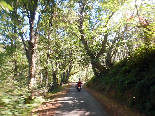 DSCN0106 DSCN0106