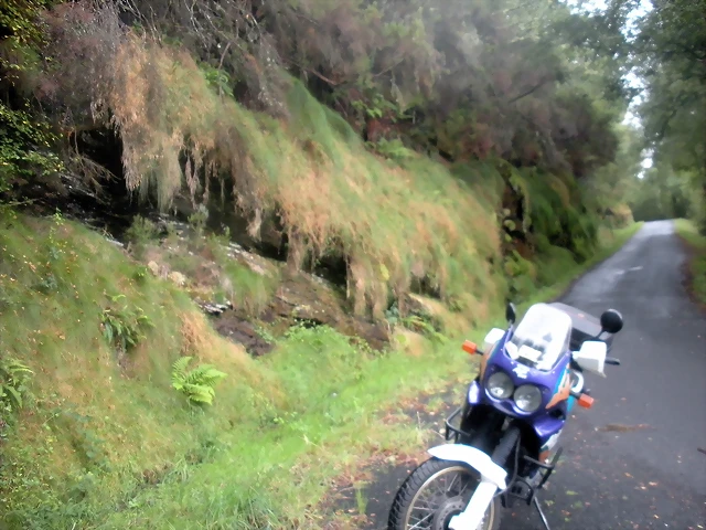 DSCN8381 DSCN8381