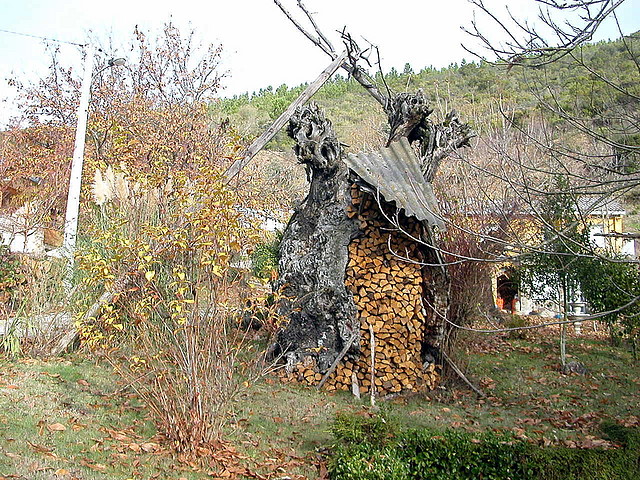 DSCN9468 DSCN9468