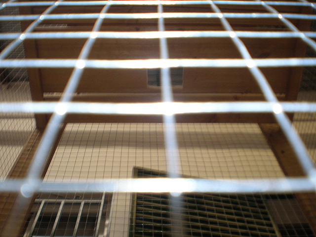 P6100248
