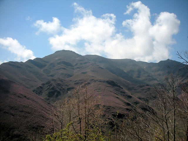 DSCN3964 DSCN3964