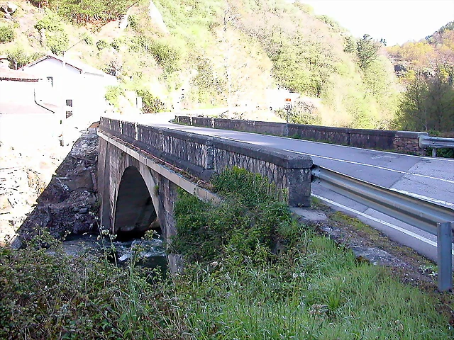 DSCN8638