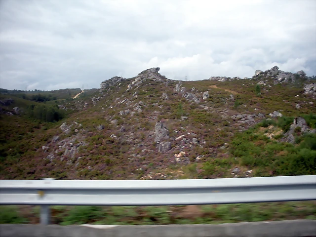 DSCN8334 DSCN8334