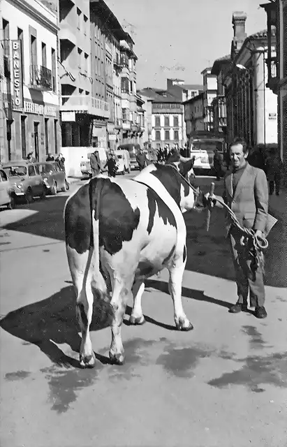 Villaviciosa 1964 Asturias