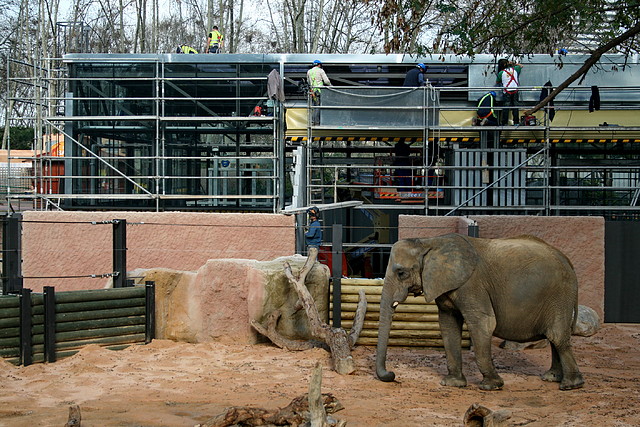 Zoo de Barcelona 17-03-11 240 Zoo de Barcelona 17-03-11 240