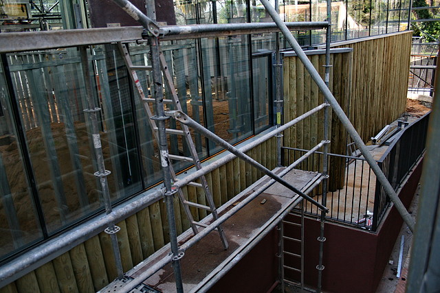 Zoo de Barcelona 17-03-11 107 Zoo de Barcelona 17-03-11 107