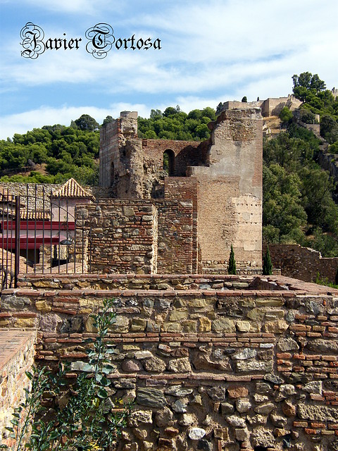 Alcazaba (3)