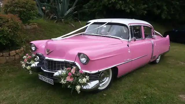 Caddy 54