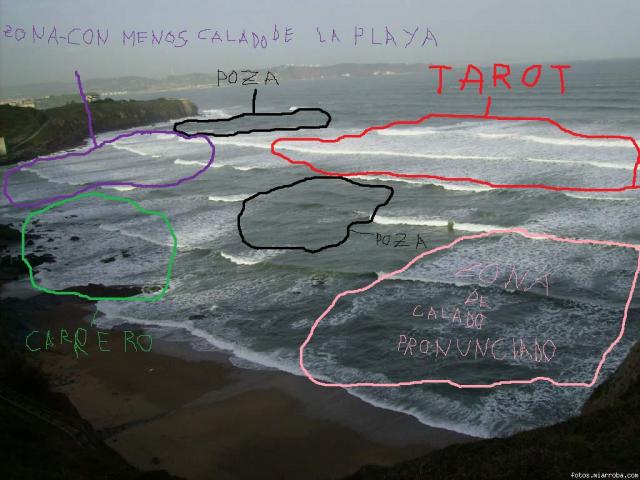 ler playa ler playa