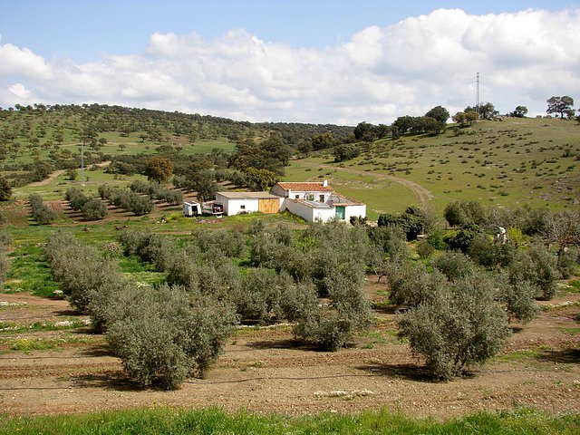 JARRABOTINES, VALE