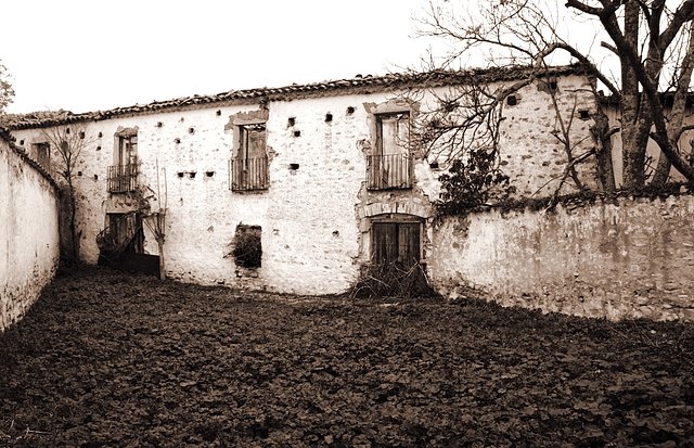 OLVERA SEPIA 026B