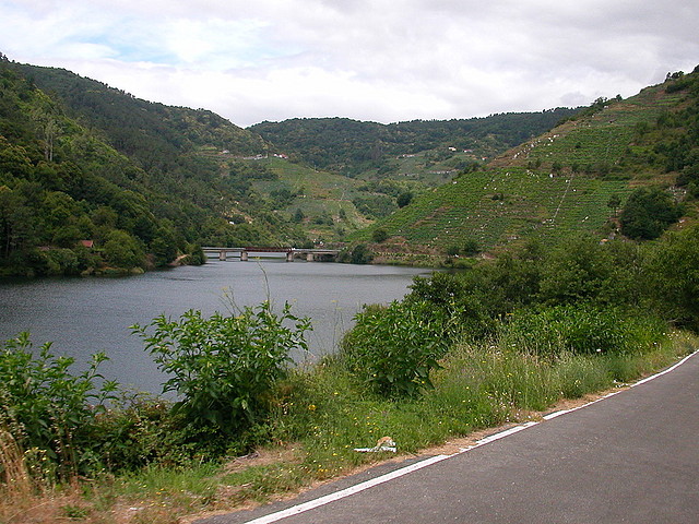 DSCN1762 DSCN1762