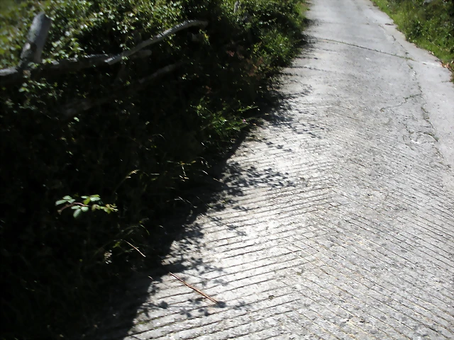 DSCN3837 DSCN3837