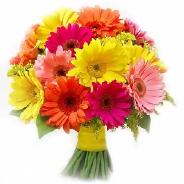 Mixed Gerberas-800x800