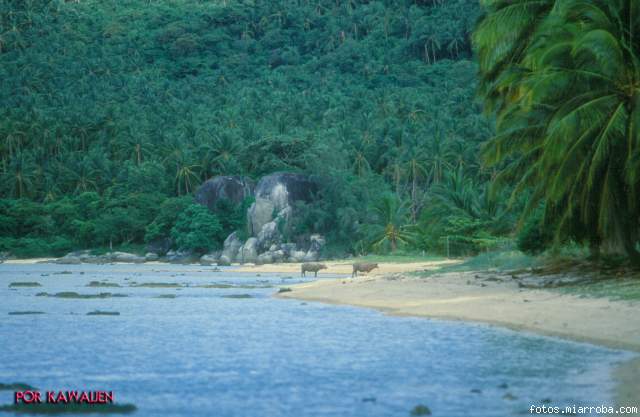 Ko Samui