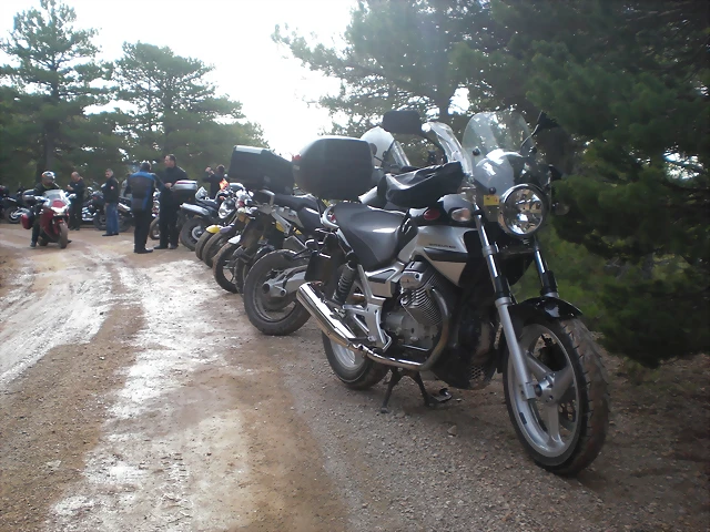 javal 2013 006 javal 2013 006