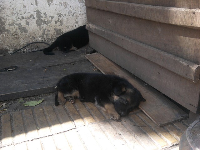Foto0137 Foto0137