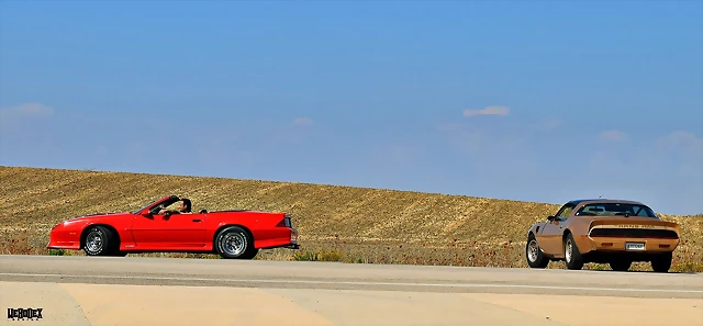 DSC_0543 DSC_0543