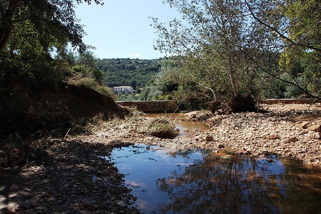 huerta oliva al fondo