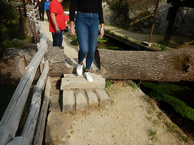 DSCN3492 DSCN3492