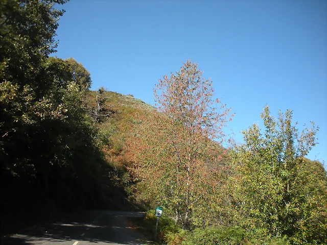 DSCN0118 DSCN0118