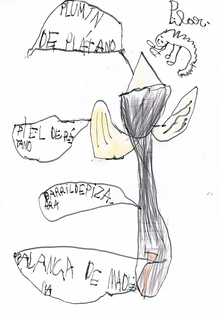 pluma de inocentes, Pil pluma de inocentes, Pil