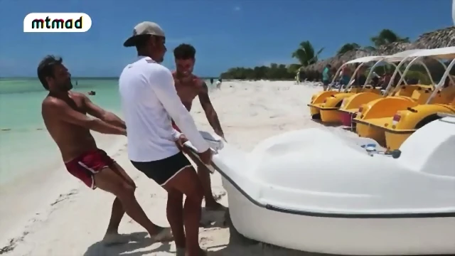 41 41