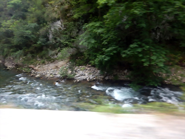 DSCN2862 DSCN2862