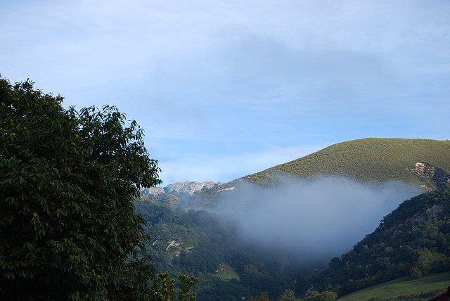 DSC_0109 DSC_0109