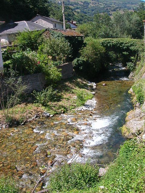 DSCN2298 DSCN2298