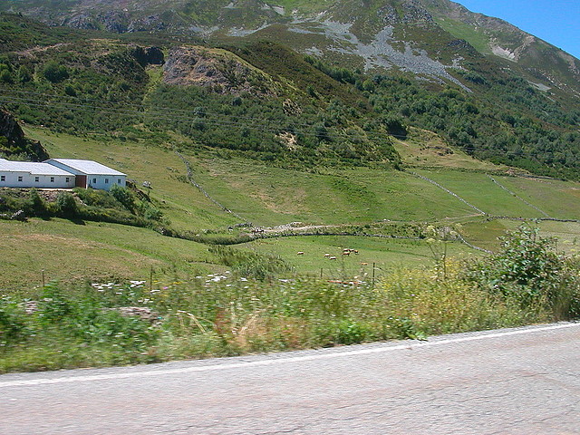 DSCN2273 DSCN2273