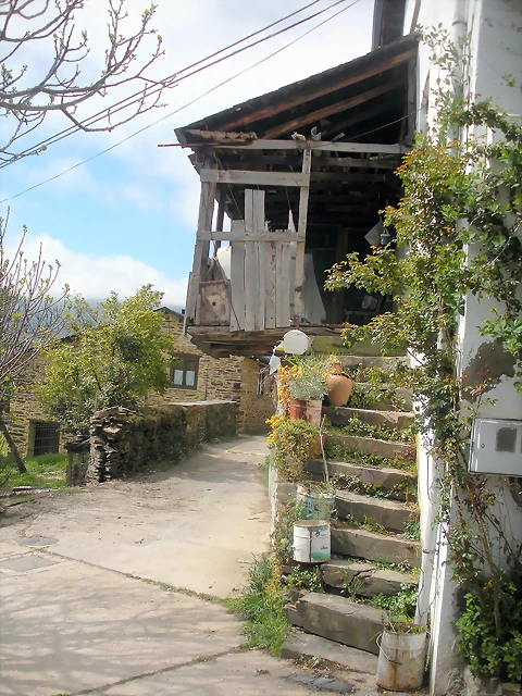 DSCN3929 DSCN3929