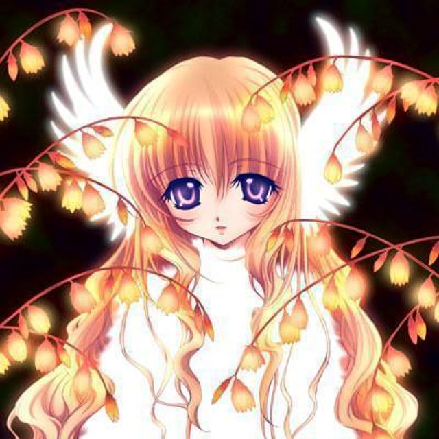 anime anime