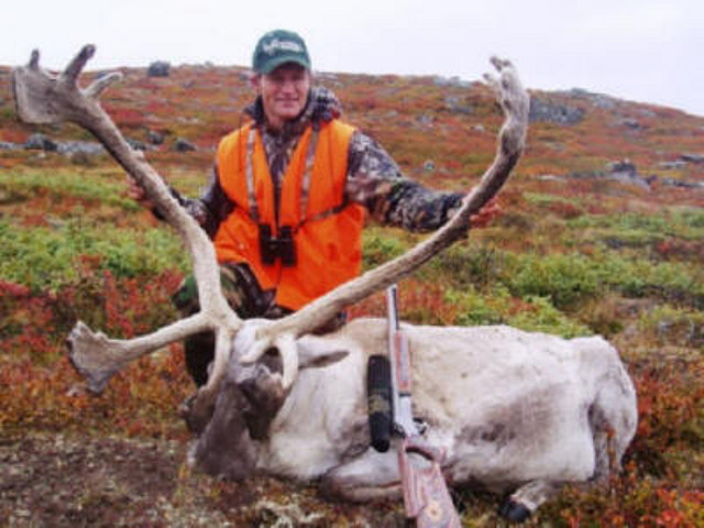 Caribou03-08 Caribou03-08